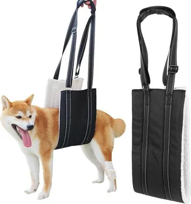 Productafbeelding van Hondenriem met borst- en rugsteun - Ideaal voor honden die veel buiten zijn - Geschikt voor oudere honden en honden die herstellen na een operatie - 74x19 cm - Maat L