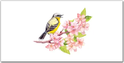 Produktbild von Coloray Bild aus Leinwand 140x70 Leinwand Dekoration - Vogel Blumen