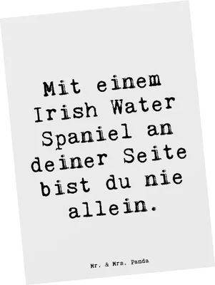Produktbild von Mr. & Mrs. Panda Postkarte Spruch Irish Water Spaniel Begleiter - Weiß - Geschenk, einzelkarte, pelziger Freund, nie allein, Ansichtskarten, Hunderasse, fürs Leben