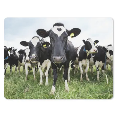 Produktbild von MuchoWow® Mauspad Mousepad Kühe - Gras - Frühling - Tiere - Wiese - Bauernhof 23x19 cm - Mousepads - Maus Mat - Pad - Mausunterlage - Schreibtischunterlage - Mauspad