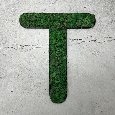 Produktbild von Islandmoos – Buchstabe T/Grasgrün