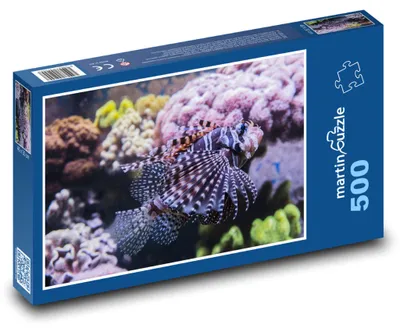 Obrázek produktu pro Puzzle 500 Perutýn v akváriu - martinpuzzle