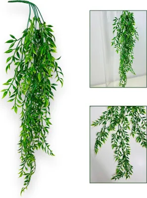 Obrázek produktu pro Věnec z listů ruscus, ruscus visící 80 cm, zelená barva