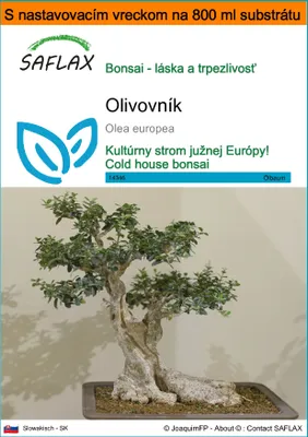 Obrázok produktu pre SAFLAX Garden in the bag - olivovník - Olea europea - 20 Semená - S pestovateľským substrátom v praktickom samostaviteľnom vrecku