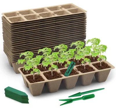 Image de Contenants à semences biodégradables 30 pièces - Contenants compostables pour un jardinage durable