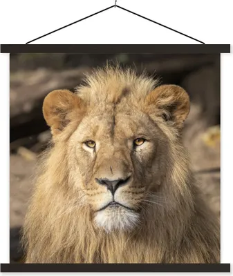 Produktbild von MuchoWow® Textilposter Löwen - Raubtier - Porträt 60x60 cm mit schwarzem Rahmen - Posteraufhänger
