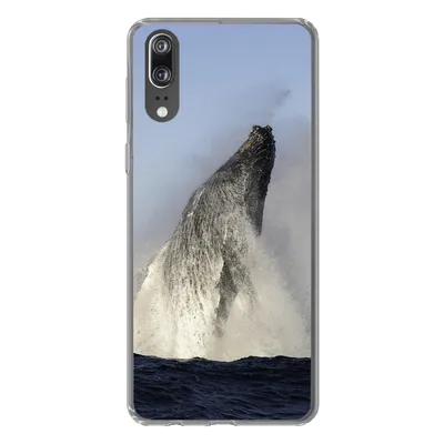 Produktbild von MuchoWow® Handyhülle Schutzhülle Hülle für Huawei P20 Wal - Wasser - Südafrika Silikon Softcase Handy Hülle - Hardcover