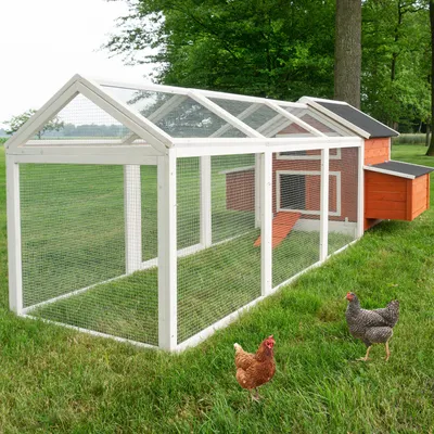Produktbild von zooprinz Hühnerstall Betty Rot | mit Auslauf Sonnen- und Regenschutz | XXL | Wetterfest | Kiefernholz
