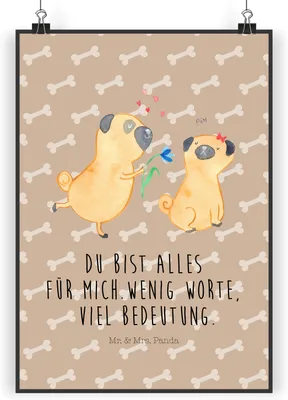 Produktbild von Mr. & Mrs. Panda Bild Mops Verliebt DIN A4 - Hundeglück - Geschenk, Hund, Knuffig, Sprüche, Liebe, Partner, Wandbild, Wandschmuck, Pure, wanddeko, drucke, Hundeliebe