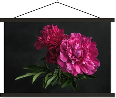 Produktbild von MuchoWow® Textilposter Pfingstrosen - Stilleben - Rosa 90x60 cm mit schwarzem Rahmen - Aufhängungssatz