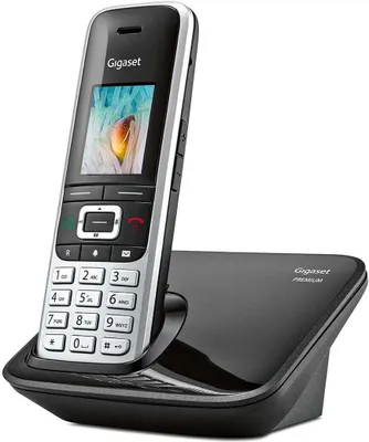 Obrázek produktu pro Gigaset PREMIUM 100 platina/černá int.