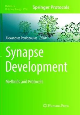 Immagine prodotto di Synapse Development