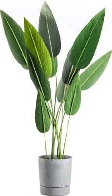 Produktbild von HowHomely | Pflanzkübel Azalea, Grau Beton - 22 cm - Blumentöpfe - Wetterfest, Stilvoller Übertopf