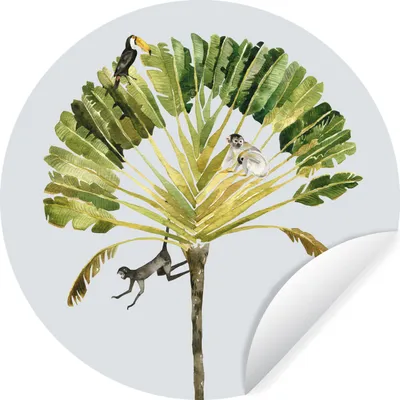 Produktbild von MuchoWow® Runde Wandtattoo - Wandsticker Tapete Aufkleber Dschungel - Affe - Tukan Ø 50 cm Selbstklebend und Repositionierbar - Wandaufkleber - Kreis - Wand Kreis - Wand Bild - Foto Tapete - Selbstklebende - Wohnzimmerdekoration - Wand Dekoration - Kinderzimmer