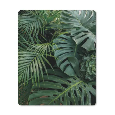 Produktbild von MuchoWow® Mauspad Mousepad Pflanzen - Dschungel - Blätter - Tropisch 30x40 cm - Mousepads - Maus Mat - Pad - Mausunterlage - Mausmatten