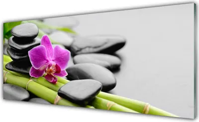 Produktbild von Küchenrückwand aus Glas 125x50cm Spritzschutz Bambusrohre Blume Steine Kunst