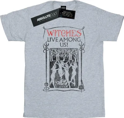 Obrázek produktu pro Fantastická zvířata - dámské tričko "Witches Live Among Us" BI23027 (L) (šedá)