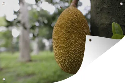 Produktbild von MuchoWow®