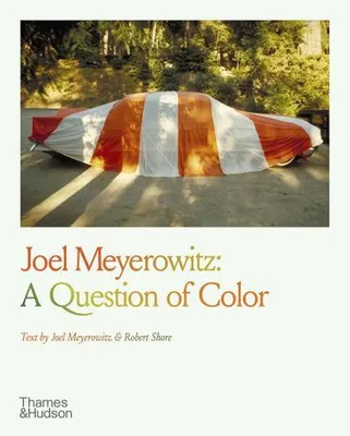 Produktbild von Joel Meyerowitz