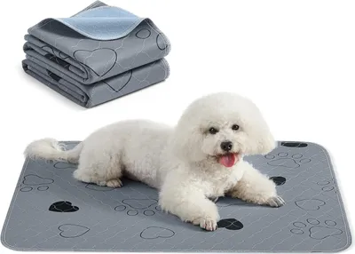 Produktbild von Feandrea Waschbare Hundedecken, wiederverwendbar, saugfähig, 2er-Set, M, wasserdicht, rutschfest, hohe Saugfähigkeit, für Katzen, Kaninchen, grau