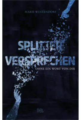 Produktbild von Splitterversprechen