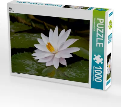 Produktbild von Calvendo Mai 1000 Teile Puzzle quer 640x480mm, Stephan Elisabeth; 7391123