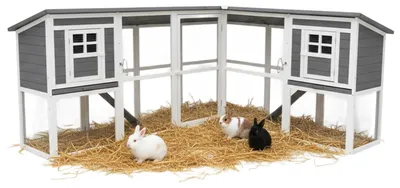 Image de Melko Clapier Cage à lapins Cage à poules Enclos extérieur Enclos en bois Lapins 8084 Cage à lapins Enclos Cage à lapins Clapier Poulailler