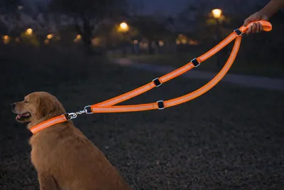 Immagine prodotto di Guinzaglio per cani - Guinzaglio da addestramento Fierro Fluo, arancione - 200 cm x 25 mm - Nylon - Triplo