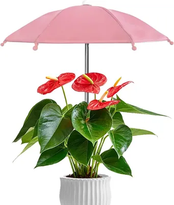 Produktbild von Pflanzenschirm-Set: Sonnenschutz für Pflanzen im Garten