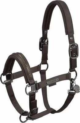 Image de Eskadron Platinum 24 Double Pin Glossy Crystal Licol