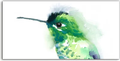Produktbild von Coloray Acrylbild 100x50  Wandbild Acrylbilder Kunst Aquarell Grüner Vogel Kolibri