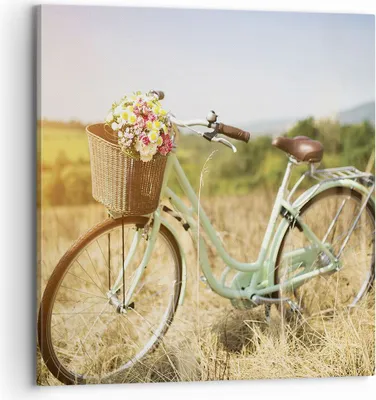 Produktbild von Bild auf Leinwand - Leinwandbild - Einteilig - Fahrrad Wiese Blumen - 70x70cm - Wand Bild - Wanddeko - Wandbilder - Leinwanddruck - Bilder - Wanddekoration - Leinwand bilder - Wandbild - AC70x70-4206