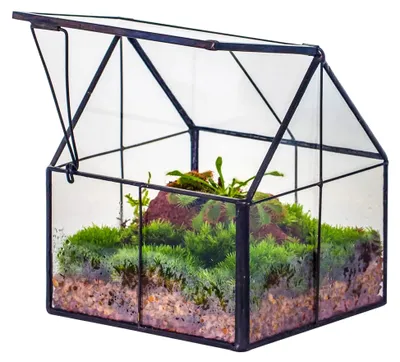 Produktbild von Geometrisches Mini Pflanzenterrarium aus Glas mit Deckel, Schwarz Übertopf für kleine Sukkulenten und Luftpflanzen, Handgefertigt