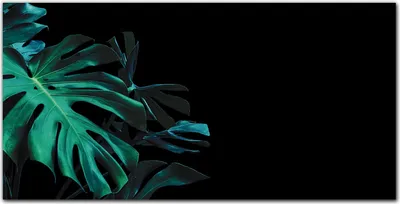 Produktbild von Coloray Bild aus Acryl 140 cm x 70 cm - Bild auf Acrylglas Gehärtetes Acryl Wohnzimmer Küche Dekoration Wanddekoration - Jungle Botanik Blatt