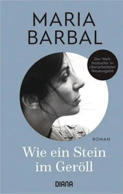 Produktbild von Wie ein Stein im Geröll