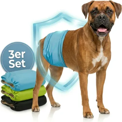 Produktbild von HUND IST KÖNIG Hundewindeln für Rüden [3 Stk], L (Taille 50-59 cm) - saugstarke Hundewindeln bei Inkontinenz, umweltfreundliche Rüdenwindel waschbar