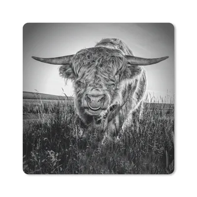 Produktbild von MuchoWow® Mauspad Mousepad Scottish Highlander - Gras - Schwarz - Weiß 20x20 cm - Mousepads - Maus Mat - Pad - Mausunterlage - Desk Mat - Bureauartikeln