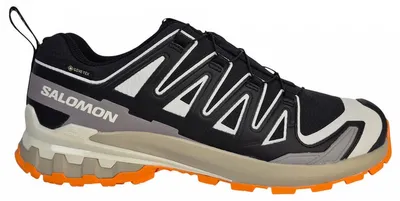 Produktbild von Salomon XA PRO 3D V9 GTX grau Walkingschuh Mehrfarbig in Gr. 45