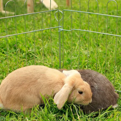 Productafbeelding van Famanu buitenren voor kleine dieren - weerbestendig, 59 x 58 cm