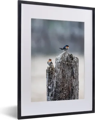 Produktbild von MuchoWow® MuchoWow® Gerahmtes Poster Vogel - Baumstamm - Winter 30x40 cm - Poster mit zchwarzem Bilderrahmen - Wandposter Schlafzimmer