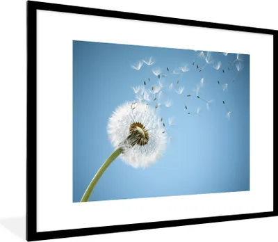 Produktbild von MuchoWow® Gerahmtes Poster Löwenzahn mit blauem Hintergrund 80x60 cm - Poster mit Schwarzem Bilderrahmen Wandposter Rahmen Foto Bilder - Schlafzimmer-Dekorationen - Fotoposter