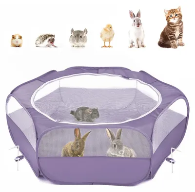 Image de Aire de jeux portable pour petits animaux