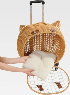 Produktbild von Kinderwagen für Hunde – Kinderwagen aus Rattan mit Rädern und Katzentransporter, atmungsaktiver Korb mit Teleskopgriff, für den Transport von Kätzchen, Kaninchen, täglichen Spaziergängen