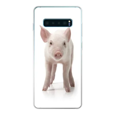 Produktbild von MuchoWow® Handyhülle Schutzhülle Hülle für Samsung Galaxy S10 Lite Schwein - Tiere - Weiß Silikon Softcase Handy Hülle - Schutz