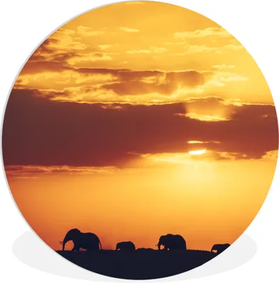 Produktbild von MuchoWow® Rundes Wandbild - Runde Bilder Elefanten - Horizont - Sonnenuntergang - Tiere Ø 60 cm Kreis Wanddekoration Kunststoff - Wandkreis - Wandschmuck - Wand Kreis - Das Schlafzimmer - Die Bilder - Wandmalerei - Kunst für das Haus - das Plastik