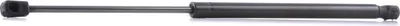 Produktbild von RIDEX 219G0403 Gasfeder Heckklappendämpfer für KIA Picanto (SA) 478mm