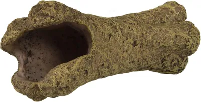 Produktbild von Terra Della Terrarium Dekoration hohler Knochen