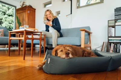 A woman is sitting on a couch in a living room, holding a cup, while a dog rests in its bed in the foreground.