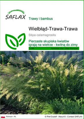 Zdjęcie produktu dla SAFLAX - Wielbłąd-Trawa-Trawa - 50 Nasiona - Stipa calamagrostis