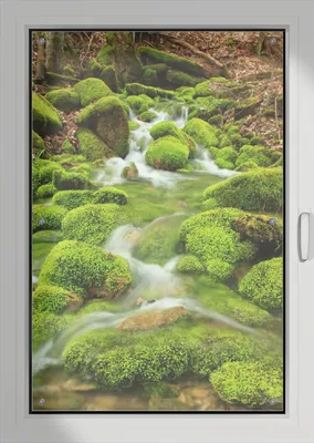 Produktbild von Wallario Lichtschutzbild, Dekorativer Sichtschutz Sonnenschutz 76 x 115 cm mit Motiv: Moosiger Bach - Verdunklung ohne Bohren